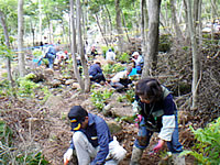 整備された植栽地で班毎に植える参加者 