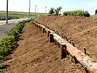 　耕起、堆肥混入、土留め丸太設置等の基盤整備